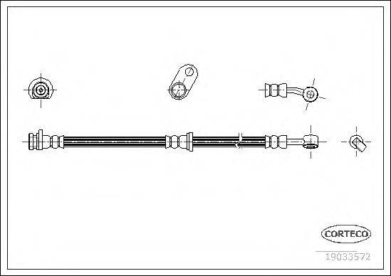 CORTECO 19033572