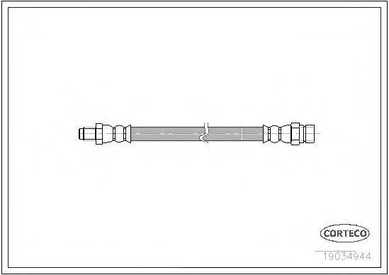 CORTECO 19034944