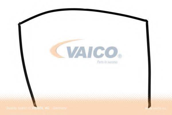 VAICO V201204 Прокладка, заднє скло