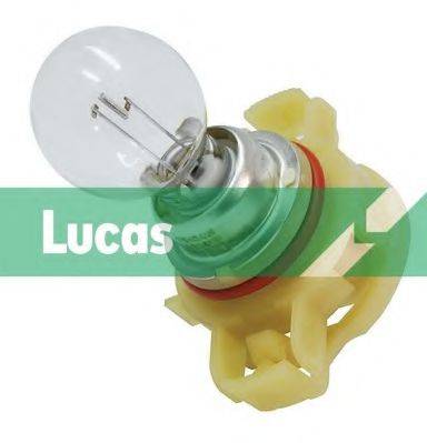 LUCAS ELECTRICAL LLB189 Лампа розжарювання, протитуманна фара; Лампа розжарювання, задня протитуманна фара