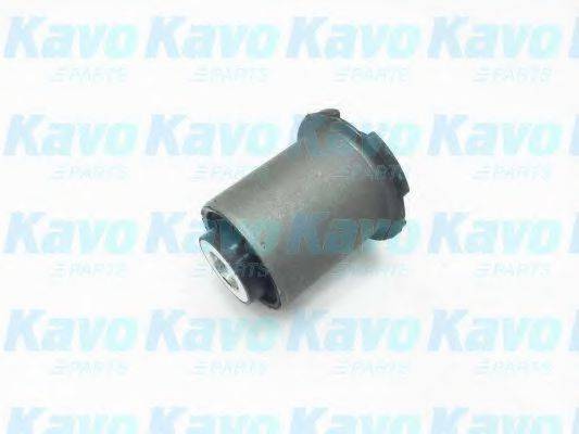 KAVO PARTS SCR-5558