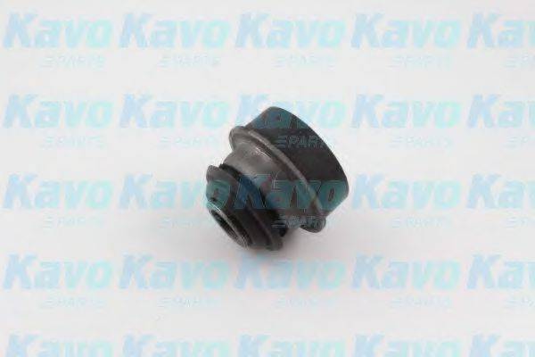 KAVO PARTS SCR-6551