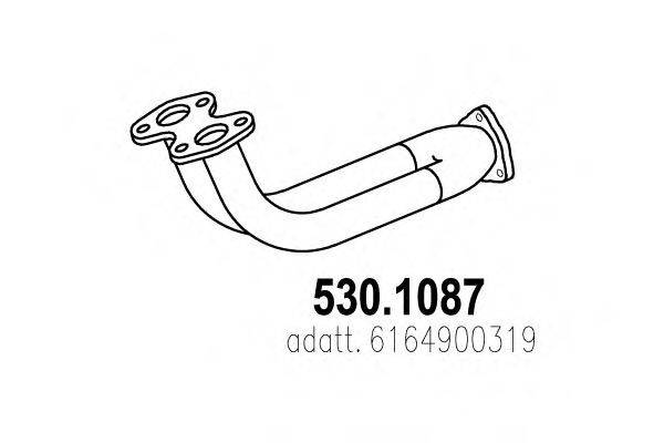 ASSO 530.1087
