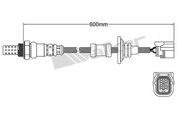 WALKER PRODUCTS 25024798 Лямбда-зонд