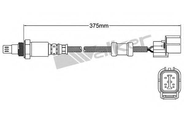 WALKER PRODUCTS 25054046 Лямбда-зонд