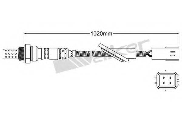 WALKER PRODUCTS 250-24641