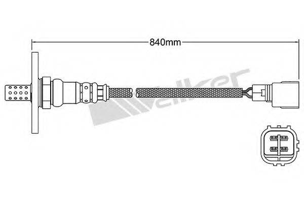 WALKER PRODUCTS 25024288 Лямбда-зонд