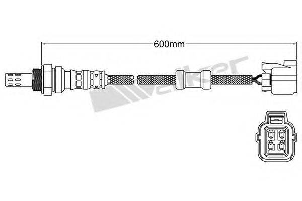 WALKER PRODUCTS 250-24446