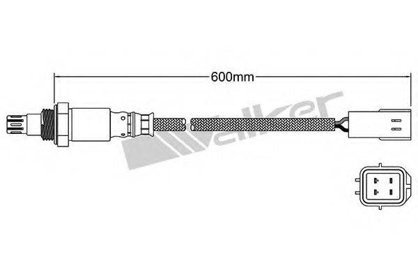 WALKER PRODUCTS 25054044 Лямбда-зонд