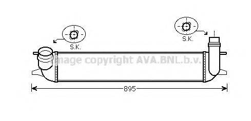 PRASCO RT4462