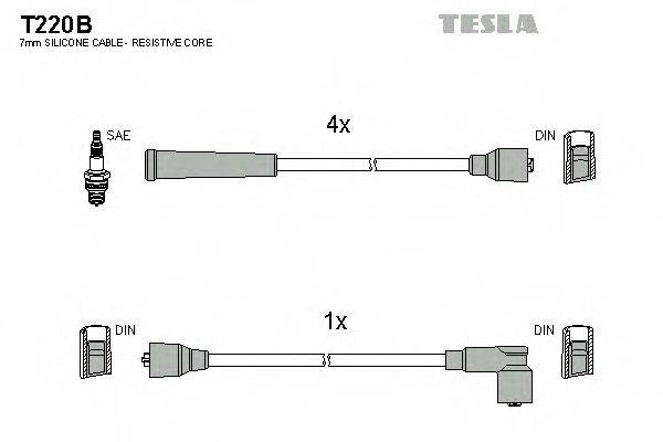 TESLA T220B