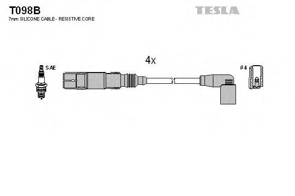 TESLA T098B