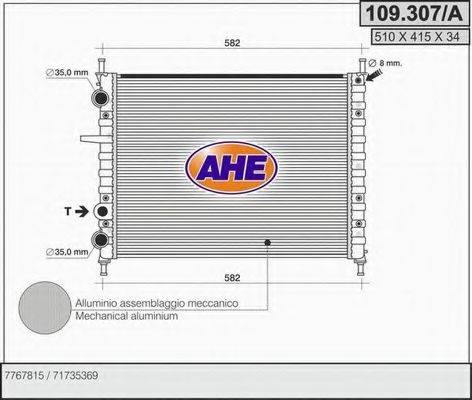 AHE 109.307/A