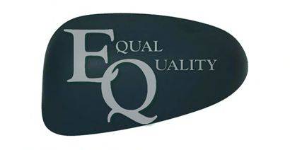 EQUAL QUALITY RS02950 Покриття, зовнішнє дзеркало