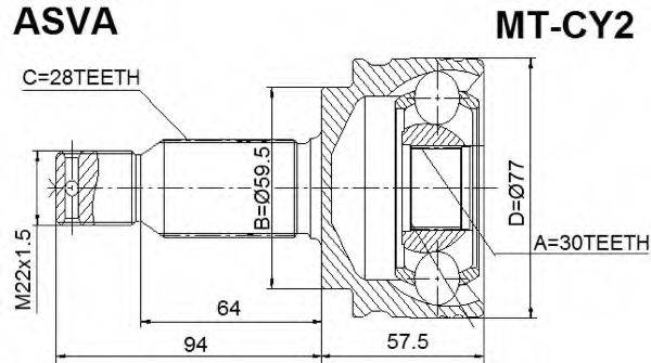 ASVA MT-CY2