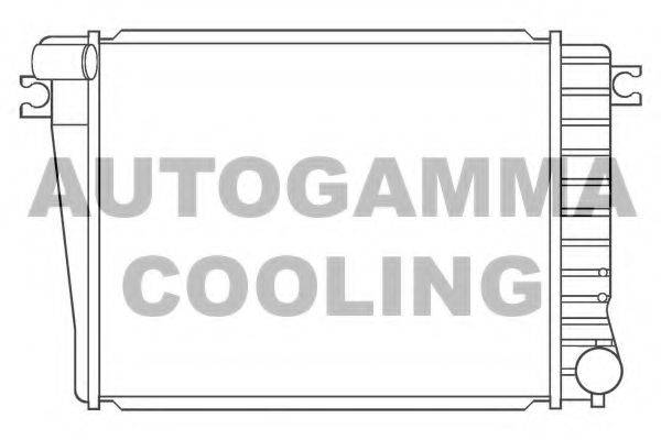 AUTOGAMMA 100134 Радіатор, охолодження двигуна