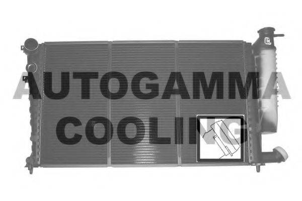 AUTOGAMMA 100756 Радіатор, охолодження двигуна
