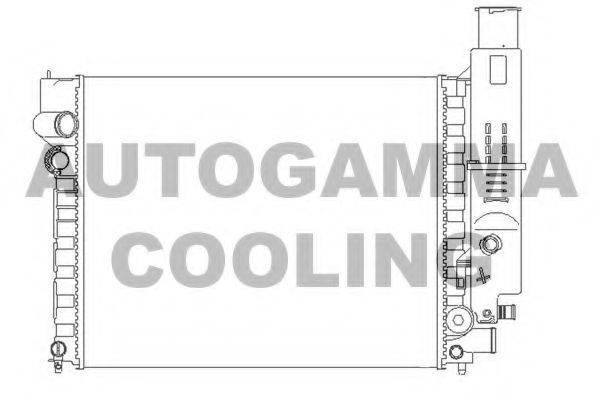 AUTOGAMMA 100764 Радіатор, охолодження двигуна