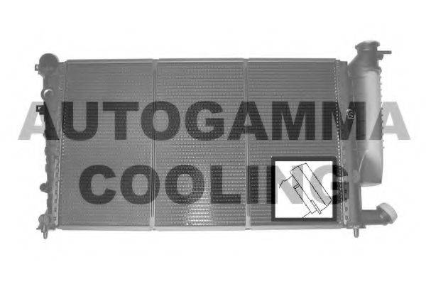 AUTOGAMMA 101313 Радіатор, охолодження двигуна