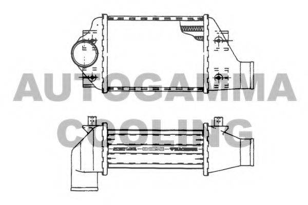 AUTOGAMMA 101481 Інтеркулер