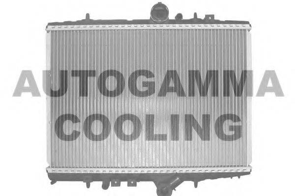 AUTOGAMMA 102860 Радіатор, охолодження двигуна