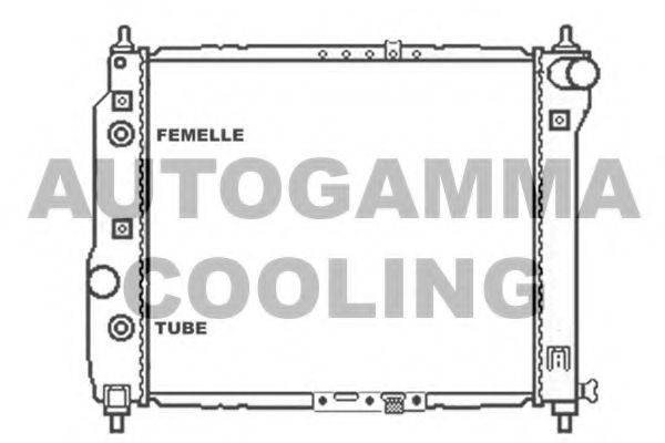 AUTOGAMMA 103839 Радіатор, охолодження двигуна