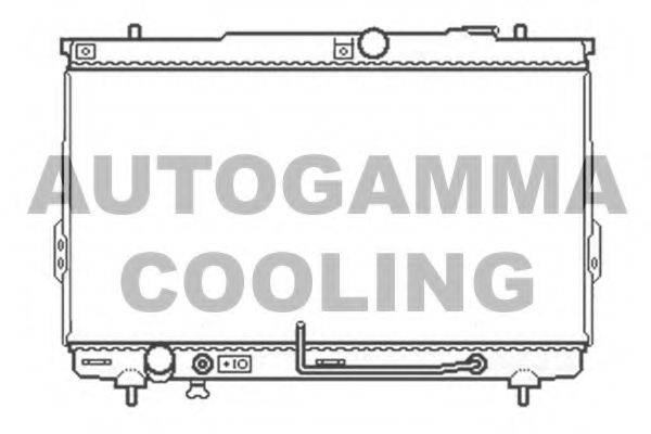 AUTOGAMMA 104065 Радіатор, охолодження двигуна