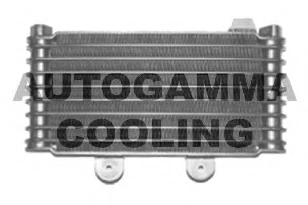 AUTOGAMMA 104155 Радіатор, охолодження двигуна