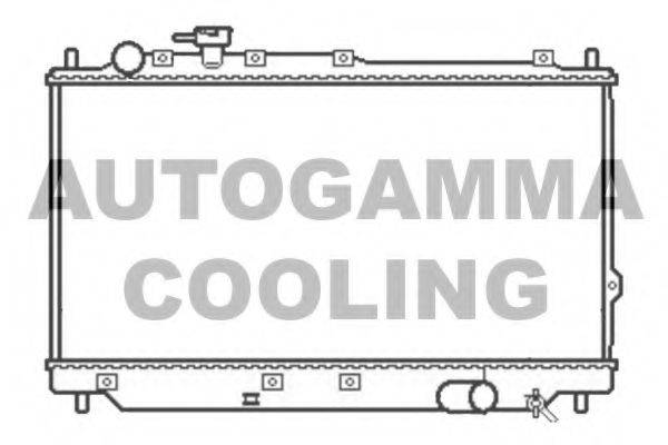 AUTOGAMMA 105800 Радіатор, охолодження двигуна