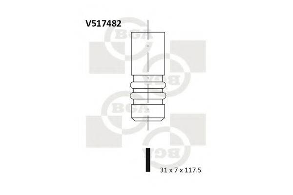 BGA V517482