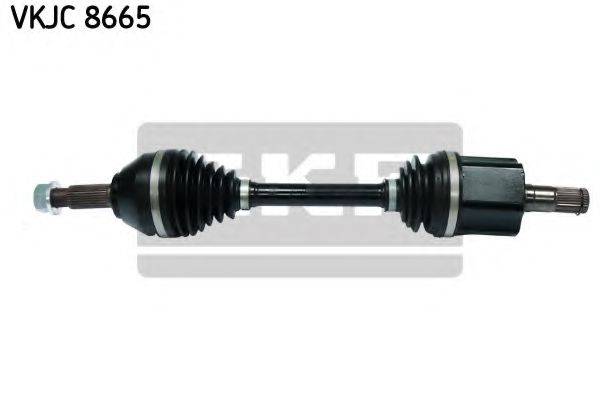 SKF VKJC 8665