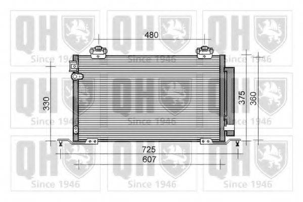 QUINTON HAZELL QCN476