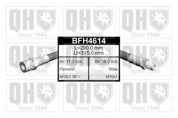 QUINTON HAZELL BFH4614