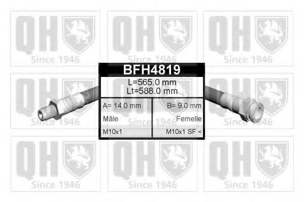 QUINTON HAZELL BFH4819