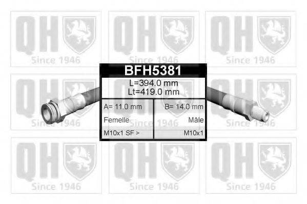 QUINTON HAZELL BFH5381 Гальмівний шланг
